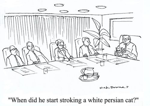 'When did he start stroking a white Persian cat?'