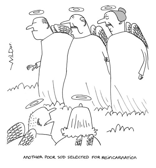 'Another poor sod selected for reincarnation.'