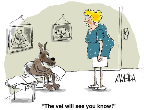 'The vet will see, you know!'