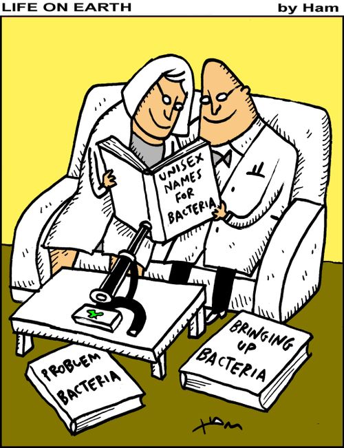Bringing up bacteria.