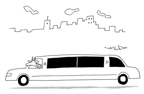Giraffe Car.