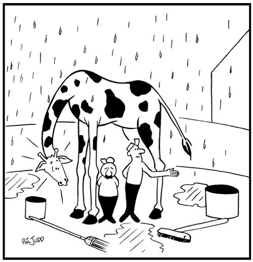 Two cleaners at the zoo. They are sheltering under a giraffe to get out of the rain.