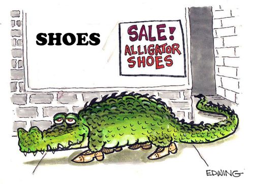 Alligator shoes.