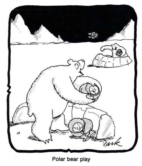 Polar Bear Play.
