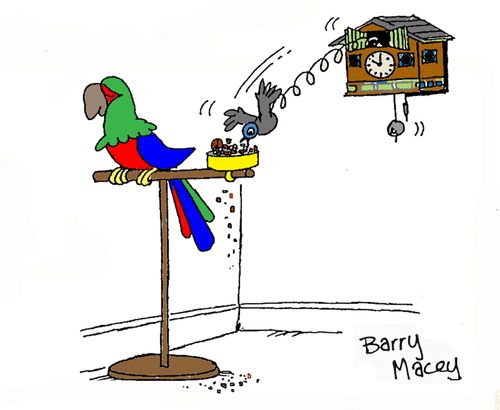 Cuckoo clock.