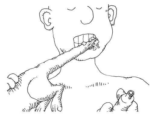 101 uses of a dead cat: toothbrush.