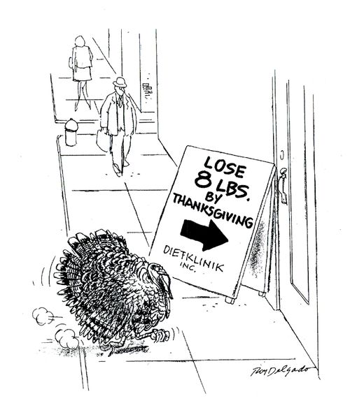 Turkey diet