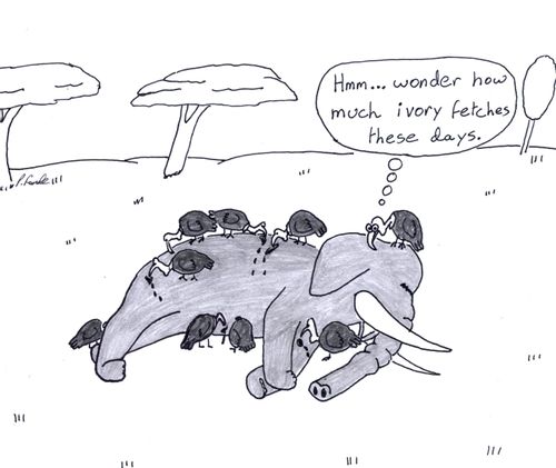 'Hmm ... wonder how much ivory fetches these days.'