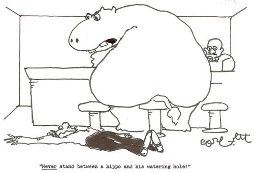 'NEVER stand between a hippo and his watering hole!'