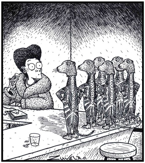 A group of angry fur-less Minks have finally found the person who has their former furs being used for a coat.