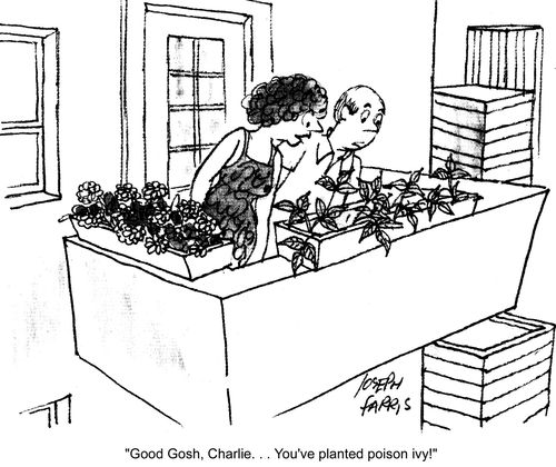 'Good gosh, Charlie... You've planted poison ivy!'