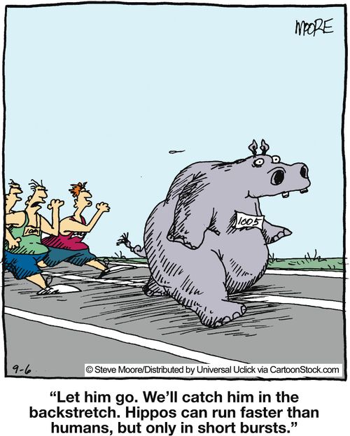 'Let him go. We'll catch him in the backstretch. Hippos can run faster than humans, but only in short bursts.'