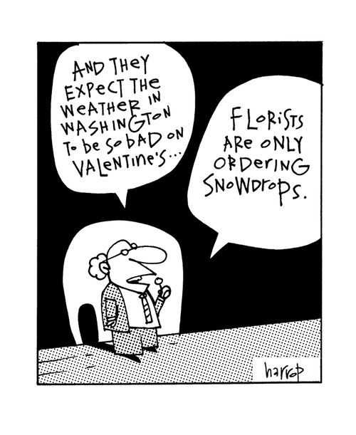 They expect the weather to be so bad on Valentine's the florists are ordering snowdrops.