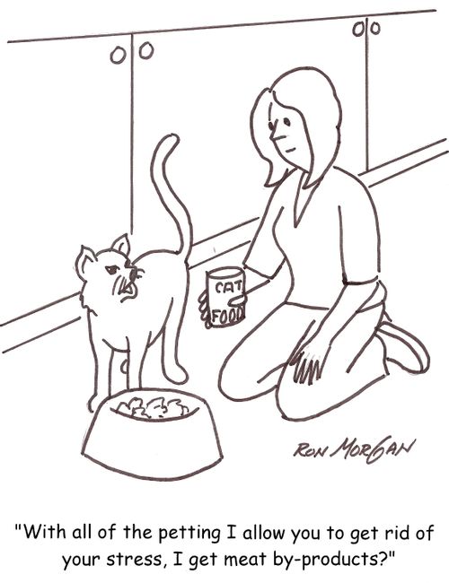 'With all of the petting I allow you to get rid of your stress, I get meat by-products?'