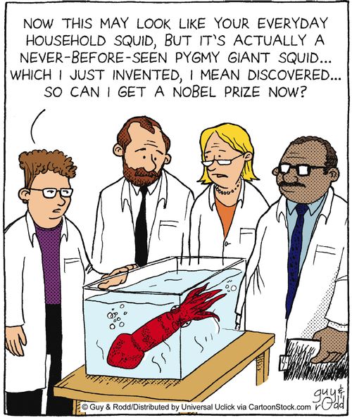 Pygmy giant squid