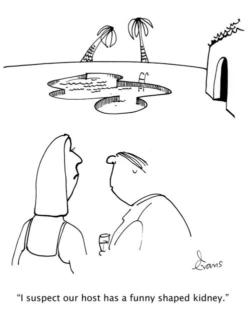'I suspect our host has a funny shaped kidney.'