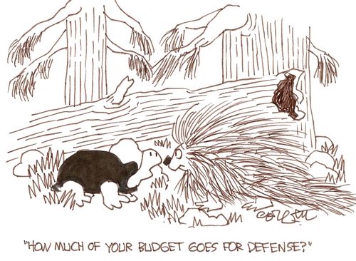 'How much of your budget goes for defense?'