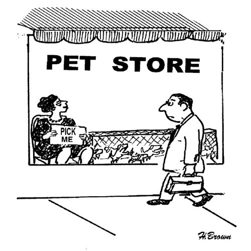 Woman joins the window display at a pet store with a sign saying 'Pick Me.'
