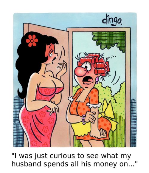 'I was just curious to see what my husband spends all his money on...'