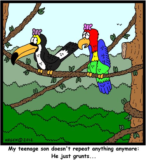 'My teenage son doesn't repeat anything anymore: He just grunts...'