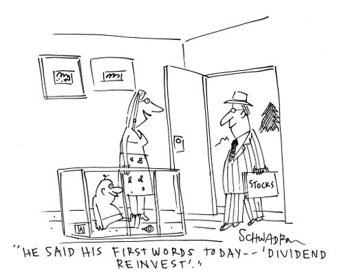 'He said his first words today - 'dividend reinvest'.'