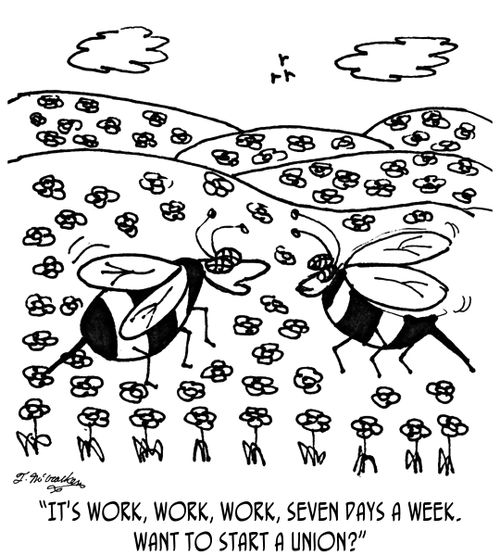 'It's work, work, work, seven days a week. Want to start a union?'