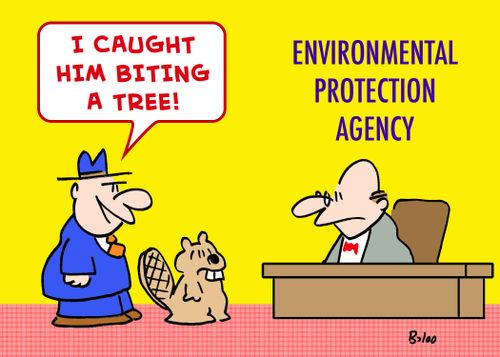 'I caught him biting a tree!'