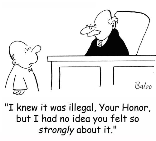 'I knew it was illegal, Your Honor, but I had no idea you felt so strongly about it.'