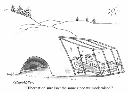 Hibernation sure isn't the same since we modernized