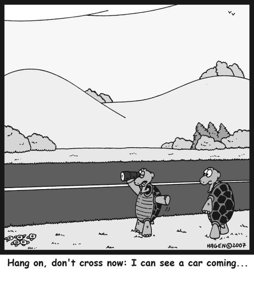 Hang on, don't cross now: I can see a car coming...