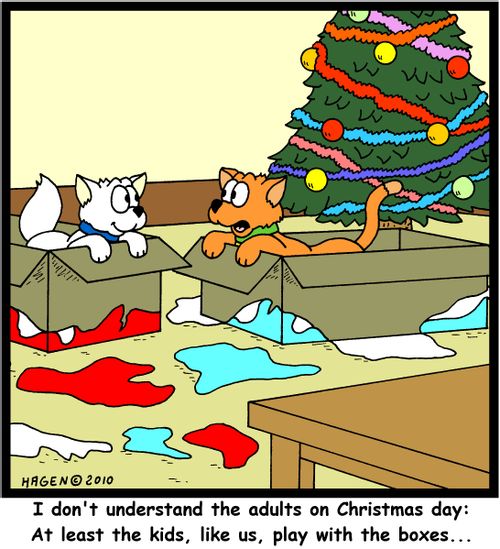 'I don't understand the adults on Christmas Day: At least the kids, like us, play with the boxes...'