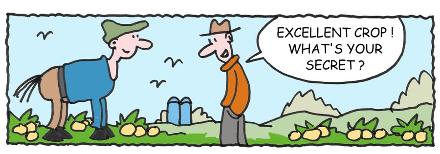 Excellent crop! What's your secret?