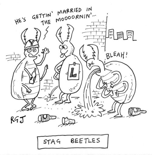 'Stag beetles.'