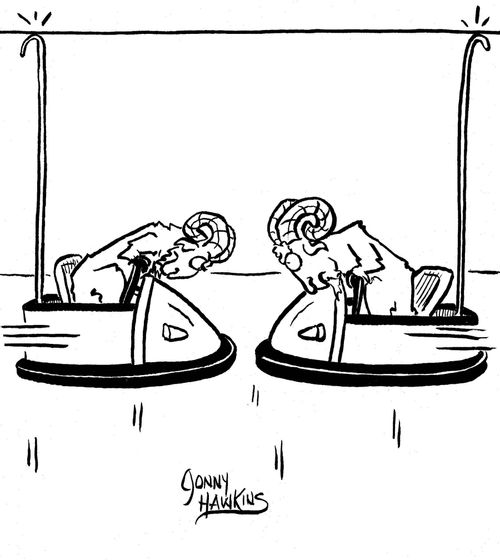Rams butting in bumper cars.