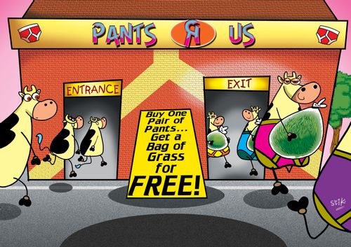 Cows buying from 'Pants R us'