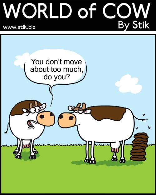 You don't move about too much, do you?