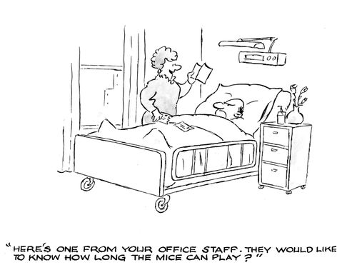 'Here's one from your office staff. They would like to know how long the mice can play?'