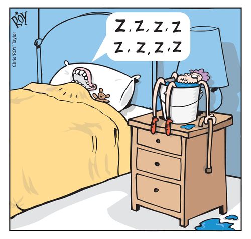 Zzzzzzzzz...