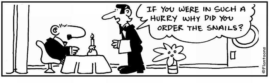 'If you're in a hurry, why did you order the snails?' 