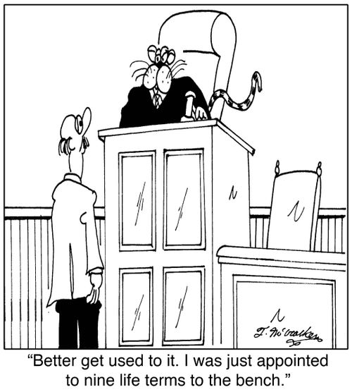 'Better get used to it. I was just appointed to nine life terms to the bench.'