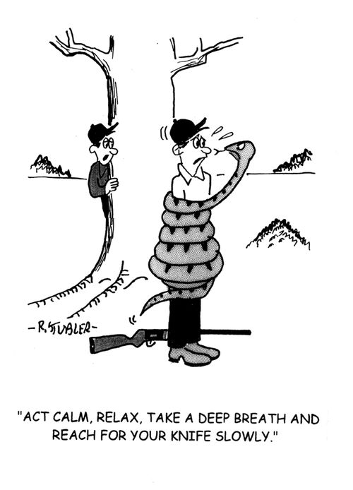 Coiled snake.'Act calm,relax,take a deep breath and reach for your knife slowly.'