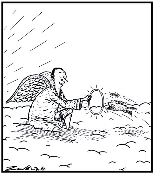 An Angel getting his dog to jump through his Halo using it like a Hoop