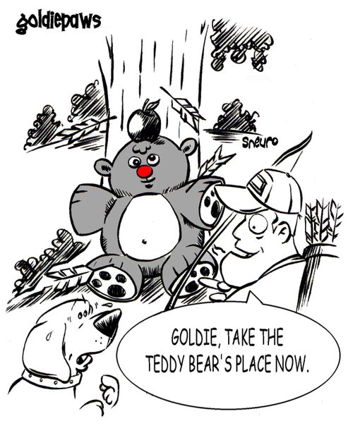 Goldie, take the teddy bear's place now.