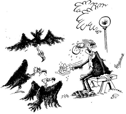 Worried pensioner attempts to feed vultures in the park