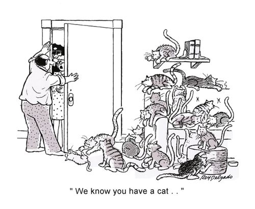 'We know you have a cat...'
