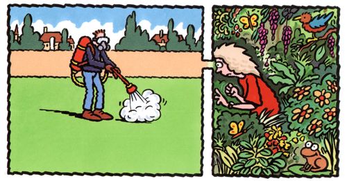 Two neighbours doing their gardening.