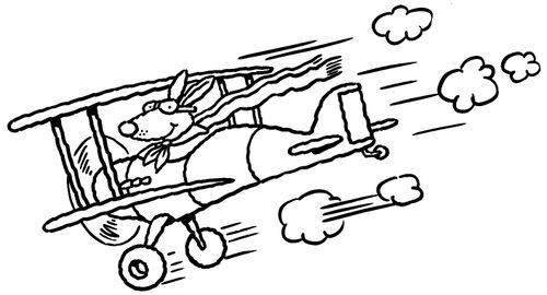 Kangaroo in a plane.