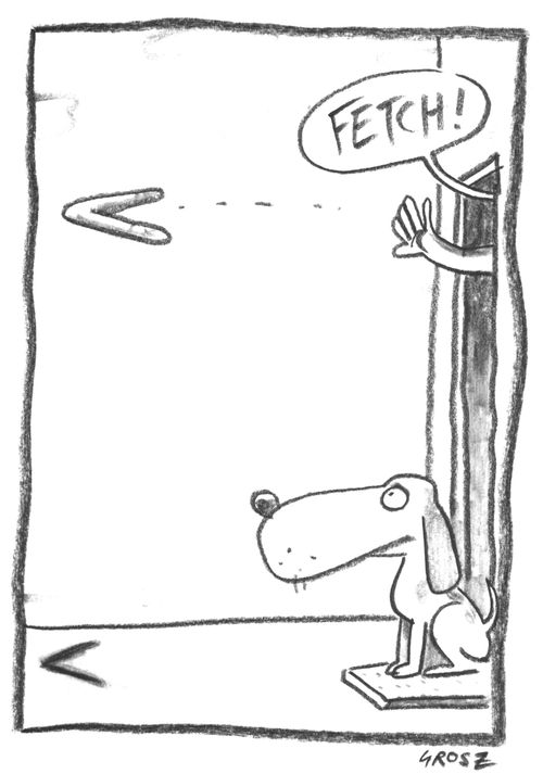Woman Throwing Boomerang For Dog To Fetch