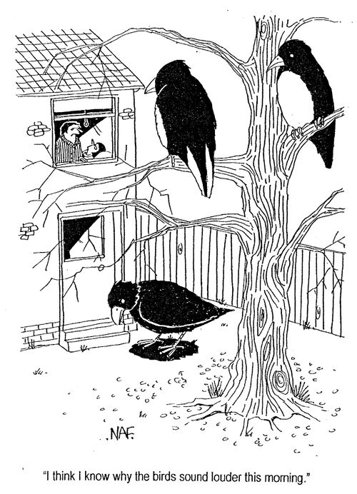 "I think I know why the birds sound louder this morning."