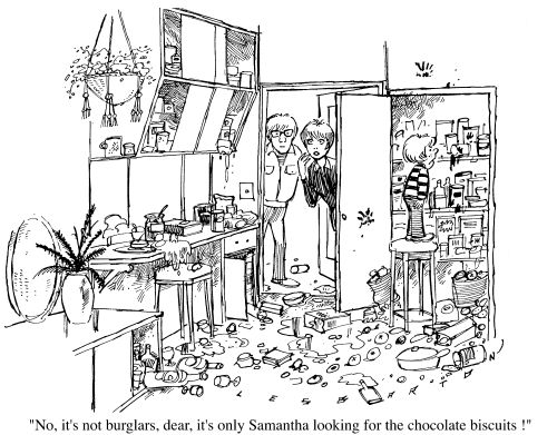 "No, it's not burglars dear, it's only Samantha looking for the chocolate biscuits!"